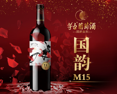 M15-產品推薦