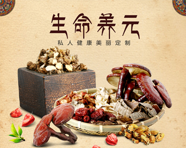 生命養元